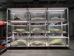 Neun dreifach gestapelte Glaskästen beherbergen Picoplanktonstrukturen. ©Valentina Mori