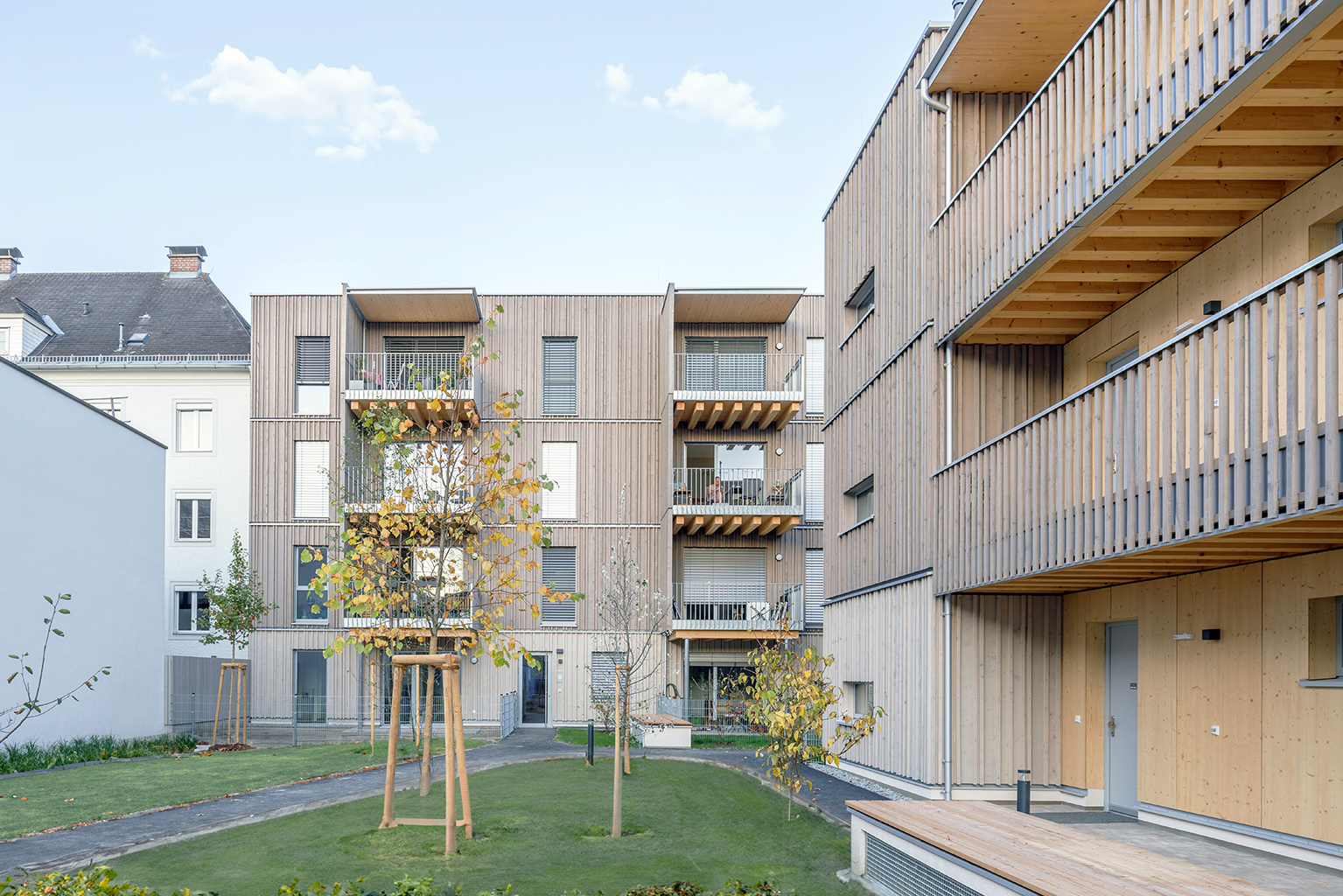 Das Baumwerk in Freistadt