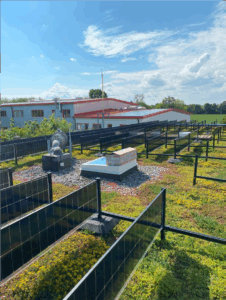 Bifaciale PV-Systeme wie das "SOLon"-System von Dachgrün bedeuten den geringsten Eingriff für eine vorhandene Vegetation. © Dachgrün