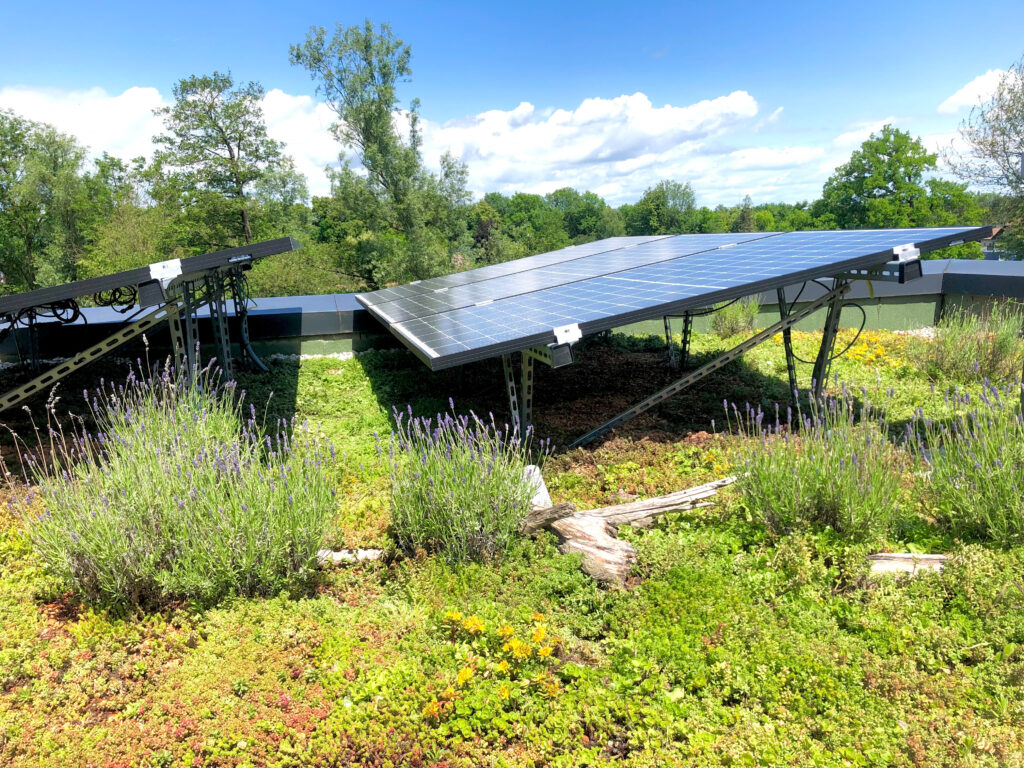 Solar-Retentions-Gründächer,wie dieses von Bauder, vereinen alle Vorteile der Begrünung mit PV-Ertrag und effektiver Regenwasserrückhaltung. © Bauder