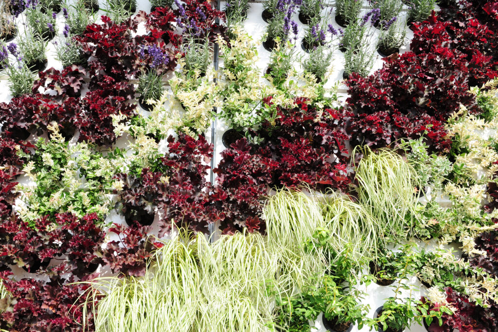 Die Pflanzwand "Adam" verwandelt jede Wand in einen Garten. Mit dieser Lösung zur Fassadenbegrünung bietet der Metallwarenhersteller Richard Brink ein System für Neubauten und Bestandsgebäude. © Richard Brink