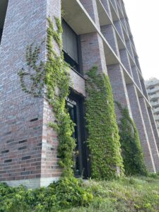 Begrünte Fassade, Fassade als Grünfläche in der Stadt, Beispiel Headquarter Wienerberger AG © Alexander Sieh