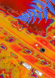 Key-Visual + PostkartenmotivAusstellung „Das neue Kleid der Stadt – natürliche Hitzeschilde“ ©  Planstatt Senner GmbH, Überlingen / Die Raumgalerie