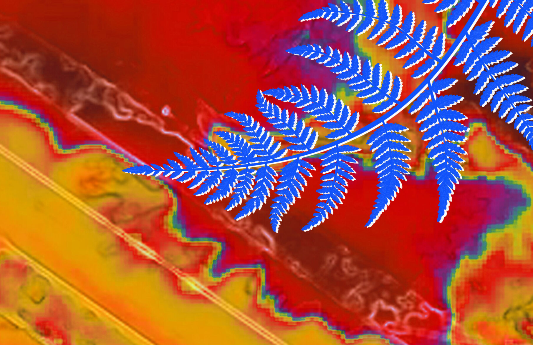 Stuttgart: Das neue Kleid der Stadt