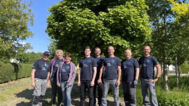 Auf den firmeneigenen Waldflächen wurden 100 zusätzliche Laubbäume gepflanzt – eine Maßnahme zur langfristigen Stärkung der heimischen Wälder.