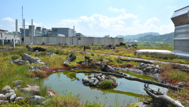 Die Anforderungen an Flachdächer werden immer komplexer. Das Institut für Flachdachbau und Bauwerksabdichtung (IFB) setzt sich seit 20 Jahren für Qualitätssicherung ein. © Bauder