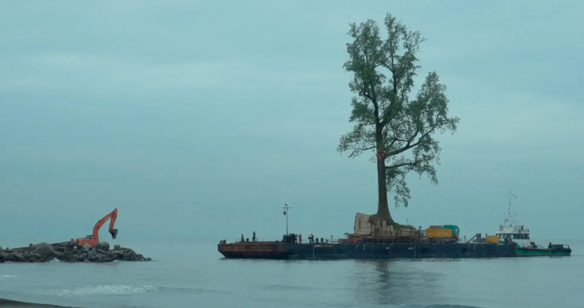 Sind Bäume Wegwerfprodukte der Architektur?