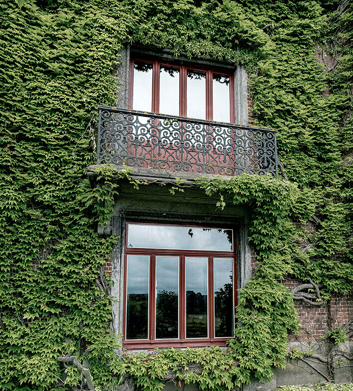 Die vorhandenen Fensterrahmen konnten großteils erhalten werden, das neue Wärmeschutzglas ist ebenso dünn ist wie eine Einfachverglasung.
