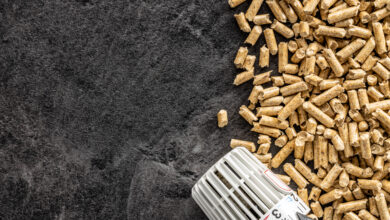 Holpellets und Thermostatkopf © jirkaejc iStock Getty Images Plus